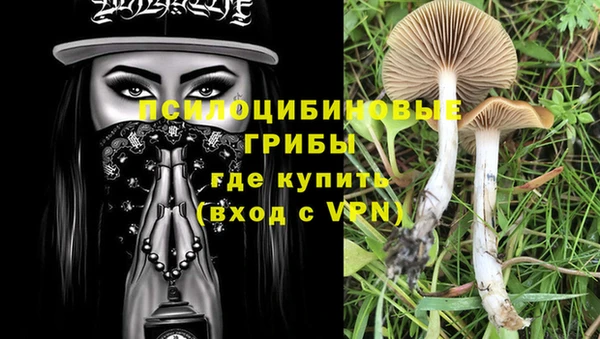 стаф Абинск
