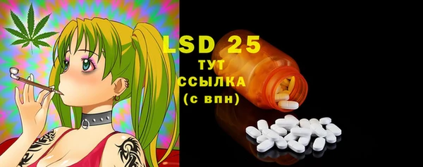 прущие грибы Абаза