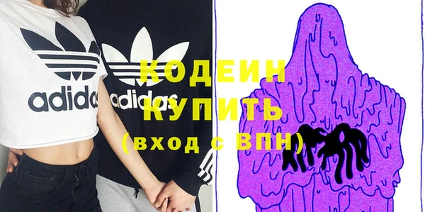 прущие грибы Абаза