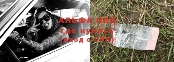 стаф Абинск