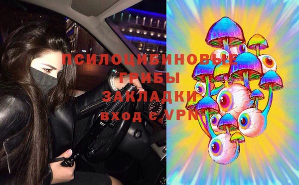 стаф Абинск
