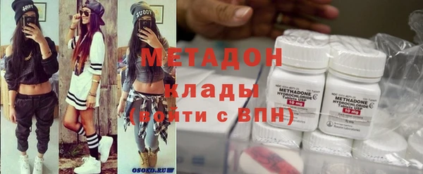 прущие грибы Абаза