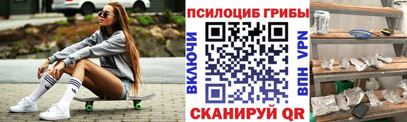 Псилоцибиновые грибы прущие грибы  Княгинино 